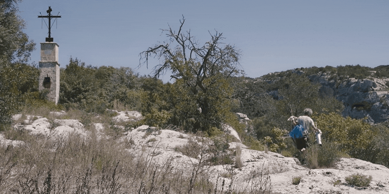 cupa cupa pitch trailer v9 scope 22 04 29 online no subs