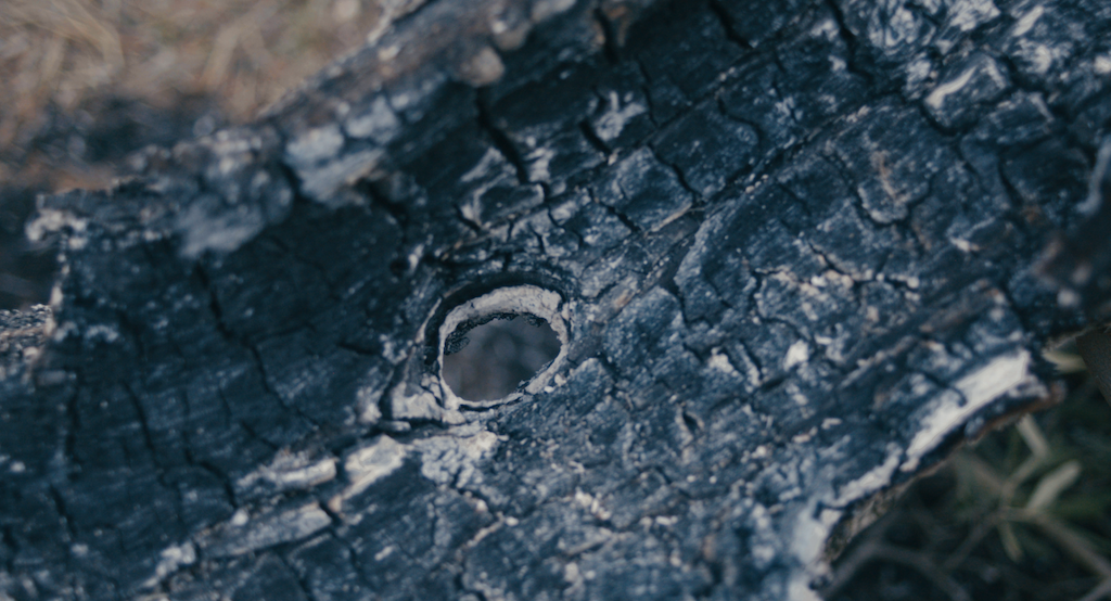 incendi 2k v17.00 00 34 05.still001 copy