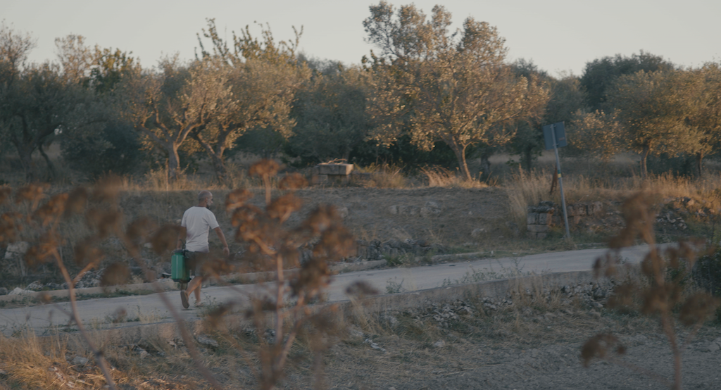 incendi 2k v17.00 04 09 16.still002 copy