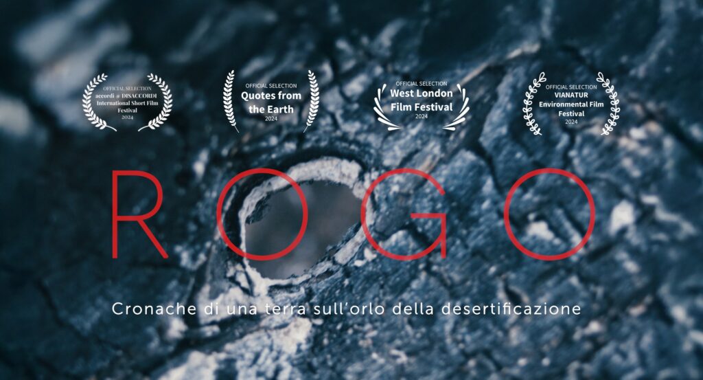 rogo poster horizontal 2025 copy small