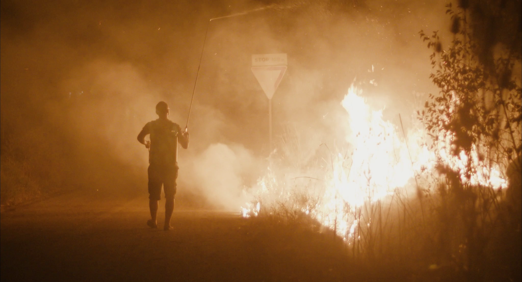 vlcsnap 2023 07 03 16h19m14s421 copy